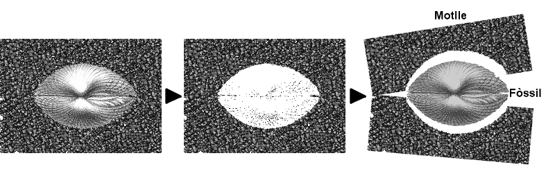 Diagrama mostrando formação de molde e contramolde fóssil