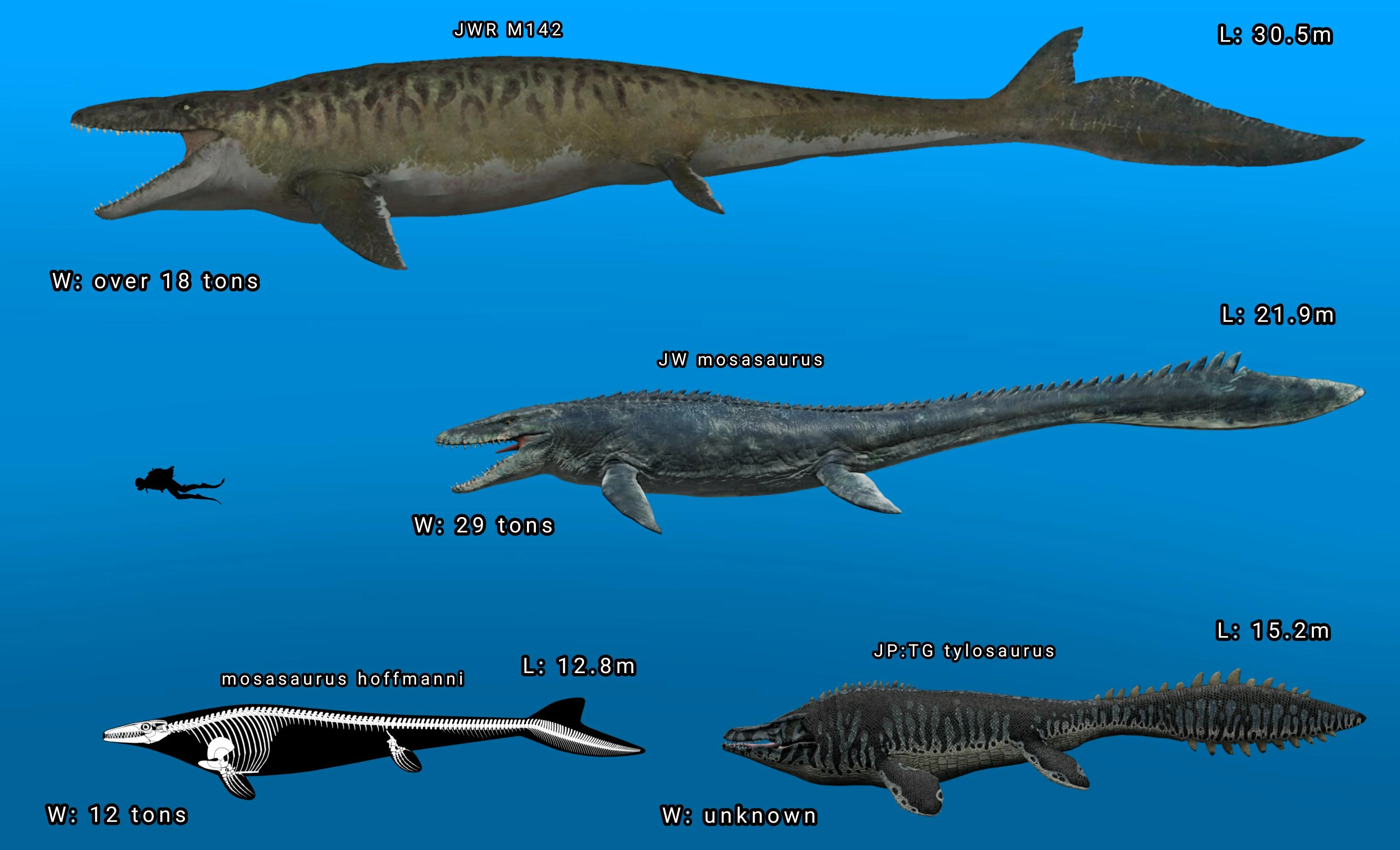 Diagrama comparativo entre o Mosasaurus do filme e estimativas científicas de tamanho.