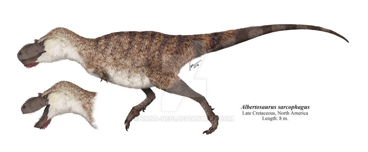 Albertosaurus sarcophagus