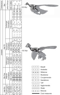 Figure 1: Stratigraphic column of Jurassic and Lowest Cretaceous strata in western Liaoning, showing horizons from which feathered dinosaurs have been described.