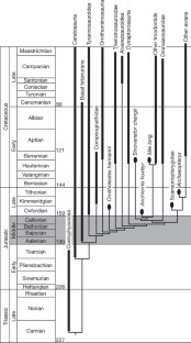 Figure 4: Temporally calibrated phylogeny of the Theropoda.
