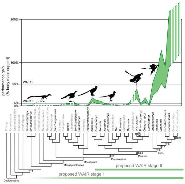Figure 2: Evolution of WAIR performance. Estimated evolutionary ranges of WAIR stages I and II ( Dial, 2003 ; Heers & Dial, 2012 ; Heers, Dial & Tobalske, 2014 ) are mapped over a phylogeny of selected Maniraptoriformes. Upper lines are for 90° flap angles and lower lines for 50° flap angles. Flight-stroke specific characters are mapped onto the phylogeny: 1, forelimb integument; 2, pennaceous feathers on forelimb; 3, L-shaped scapulocoracoid; 4, laterally facing glenoid; 5, asymmetrical remigie