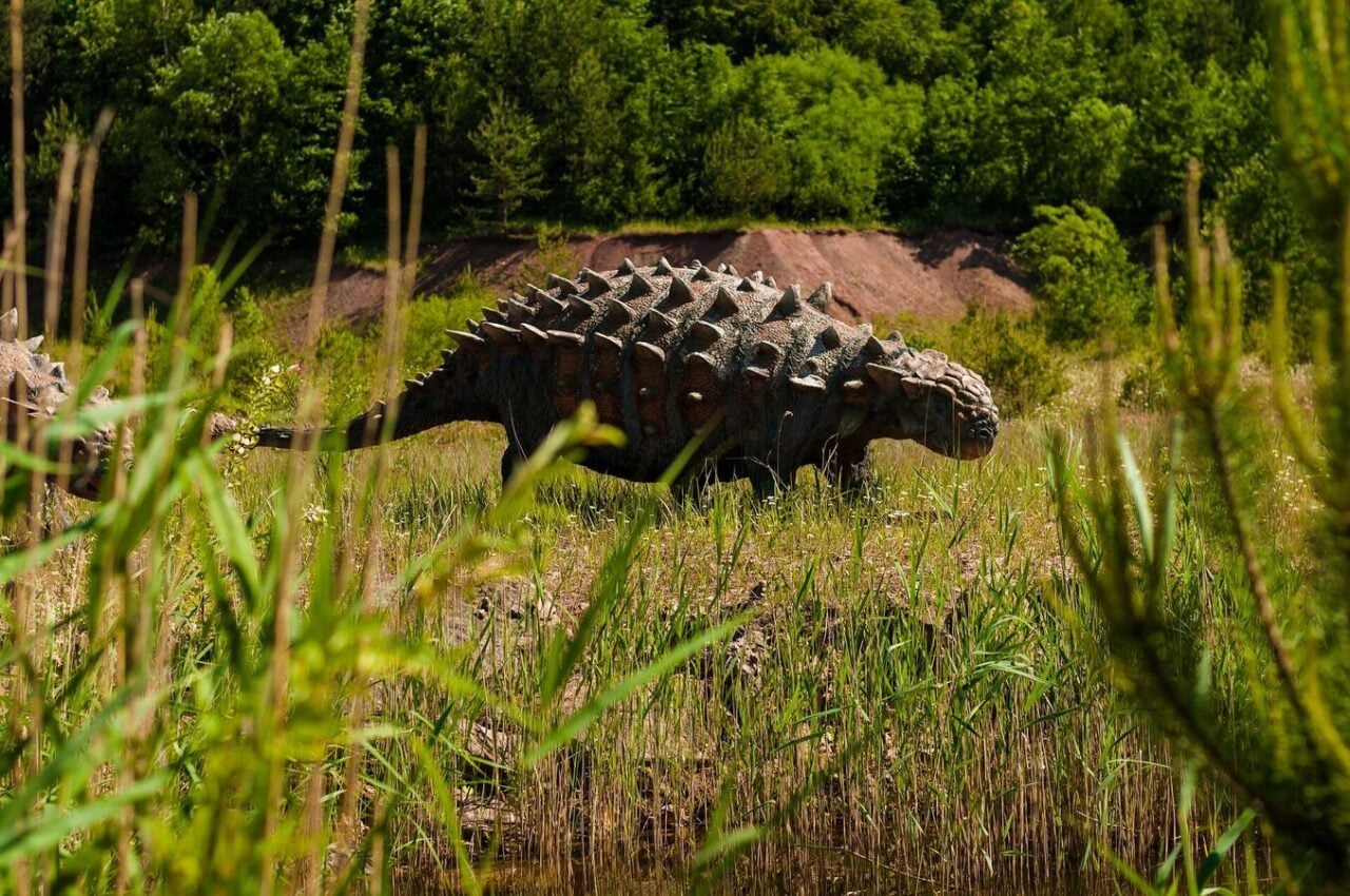 Ankylosaurus em cena de paisagem do Cretáceo tardio com vegetação da época.
