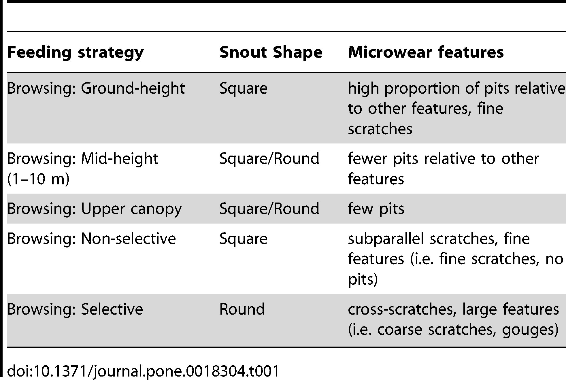 Table 1. Feeding strategies and the predicted snout shape and microwear features associated with each.