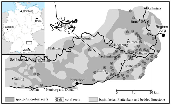 Figure 1: Geographic position of the locality of the 12th specimen of Archaeopteryx , the village of Schamhaupten, within the palaeo-archipelago of Solnhofen. Modified from Rauhut et al. (2017) . Download full-size image DOI: 10.7717/peerj.4191/fig-1