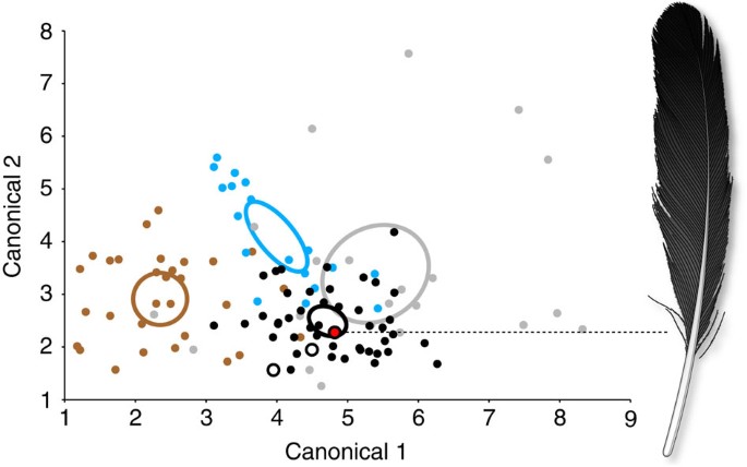 Figure 4: Statistical analysis for reconstructing Archaeopteryx feather colour.