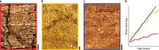 Fig. 2: Bone histology and growth strategies in sauropodomorph dinosaurs.