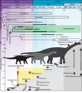 Fig. 3: Origin of Sauropoda and its relationship with the evolution of the body mass.