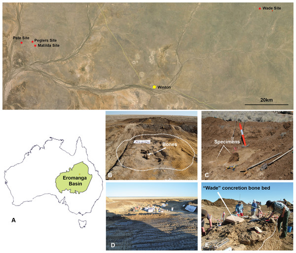 Figure 3: Australian Age of Dinosaur Localities of Australovenator holotype and isolated theropod teeth. (A) Topographic map of all five localites and their relative position within the Eromanga Sedimentary Basin: Matilda Site (AODL 85), Pete Site (AODL 125), Pegler’s Site (AODL 124), and Wade Site (AODL 82); (B) Holotype quarry of Australovenator Matilda Site; (C) Pegler’s Site; (D) Pete Site; (E) Wade Site. Download full-size image DOI: 10.7717/peerj.1512/fig-3