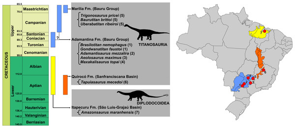Figure 1: Temporal and geographic distribution of Brazilian Cretaceous Sauropods. Blue: Bauru Basin - Adamantina (1, Presidente Prudente and Alvarez Machado, São Paulo; 2, Flórida Paulista, São Paulo; 3, Monte Alto, São Paulo; 4, Campina Verde, Minas Gerais) and Marília (5, Peirópolis, Minas Gerais) formations. Orange: Sanfranciscana Basin - Quirocó Formation (6, Coração de Jesus, Minas Gerais). Yellow: São Luis-Grajaú Basin - Itapecuru Formation (7, Itapecuru-Mirim, Maranhão). Download full-siz