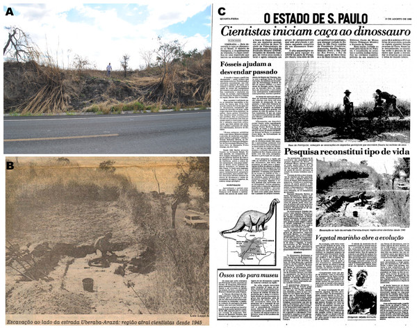 Figure 1: (A) “Rodovia” quarry in 2012 (photo by AGM). (B and C) News article depicting the field works in 1988 (from the archives of Beethoven Teixeira). Download full-size image DOI: 10.7717/peerj.14333/fig-1