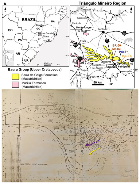 Figure 2: (A) Map of the Bauru Basin detailing the Uberaba region. (B) Map of “Ponto 1” quarry made by Price, detailing positions of Series B (Purple) and C (Yellow). It is noteworthy that MCT 1719-R cannot be located on the map (From the archives of CPPLIP). Download full-size image DOI: 10.7717/peerj.14333/fig-2