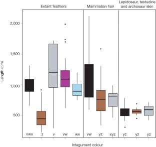 Figure 1: Melanosome length observed in extant feathers, lepidosaur, testudine and archosaur skin, and mammalian hair.