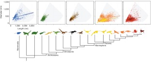 Figure 4: Melanosome diversity across Amniota.