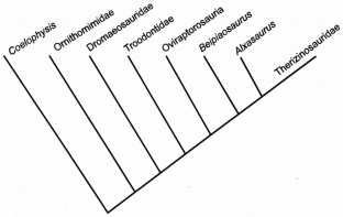 Figure 4: Phylogenetic relationships of Beipiaosaurus inexpectus .