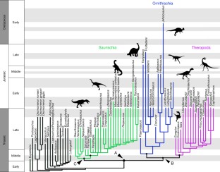 Figure 1: Phylogenetic relationships of early dinosaurs.