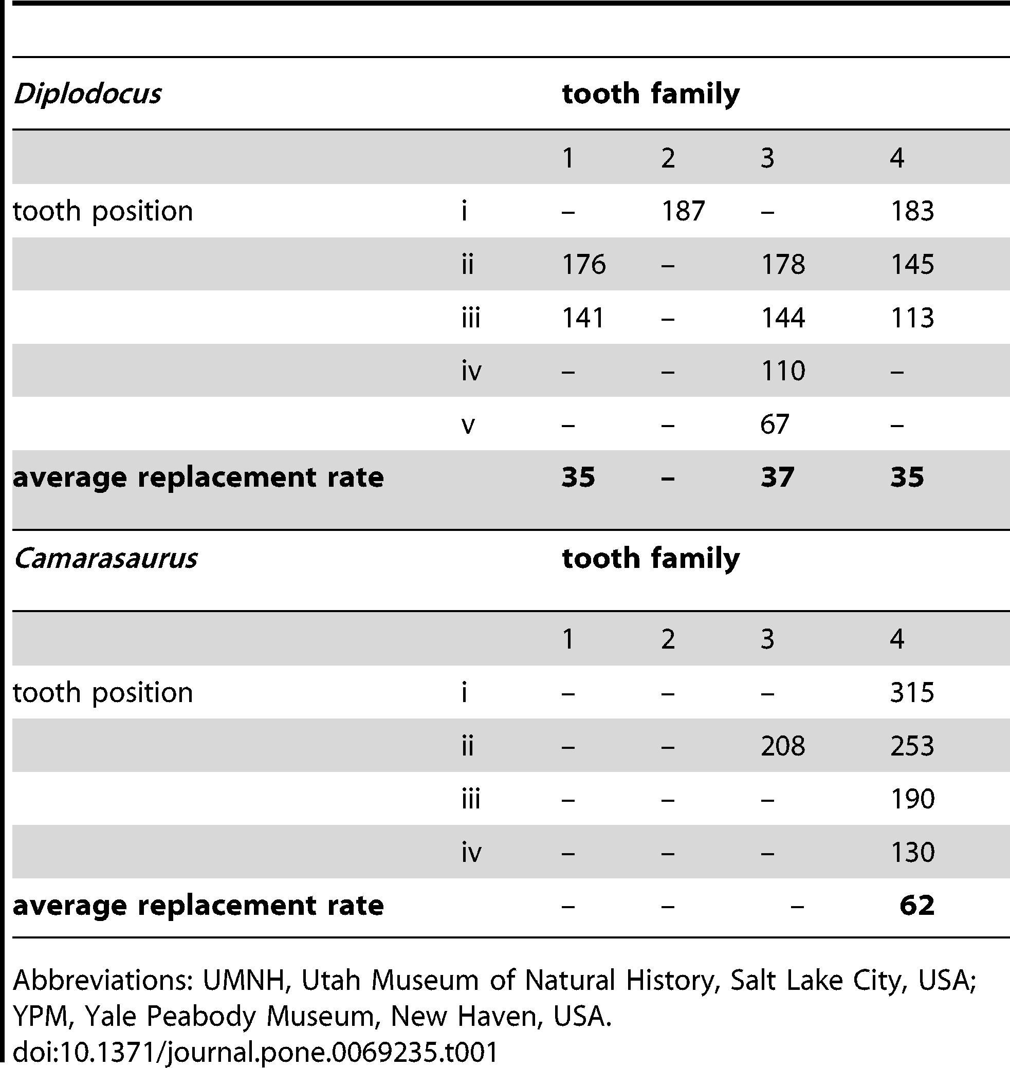 Table 1. Tooth formation time (days) and replacement rate (1 tooth/X days) in Diplodocus (YPM 4677) and Camarasaurus (UMNH 5527).