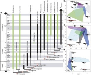 Figure 3: Phylogenetic relationships of Chilesaurus diegosuarezi gen. et sp. nov. among main dinosaur clades and its plots in the theropod morphospaces.