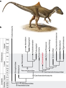 Figure 2: Time-calibrated reduced consensus of the phylogeny of Neotetanurae theropods.