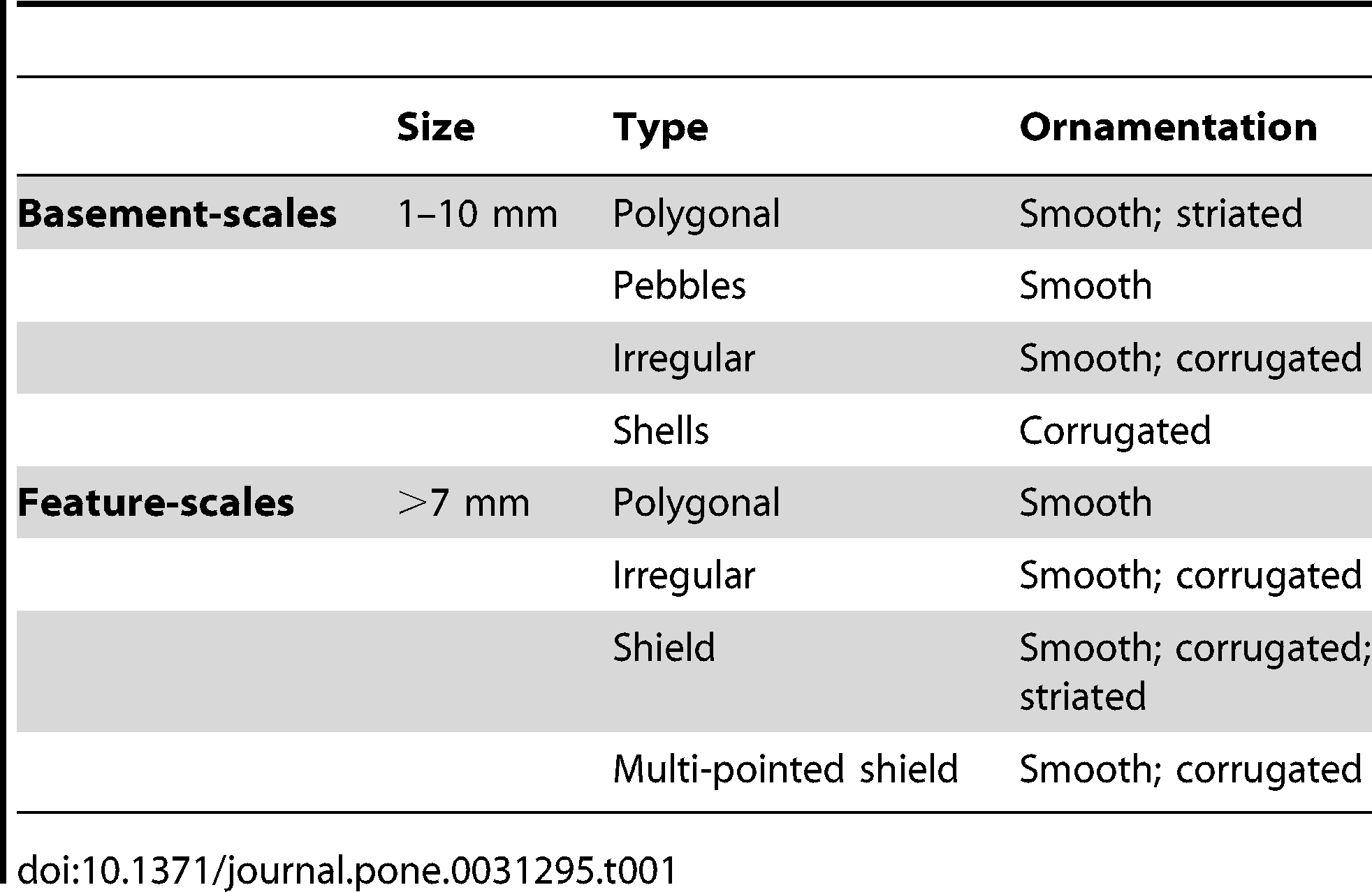 Table 1. Scale morphology and descriptive terminology.