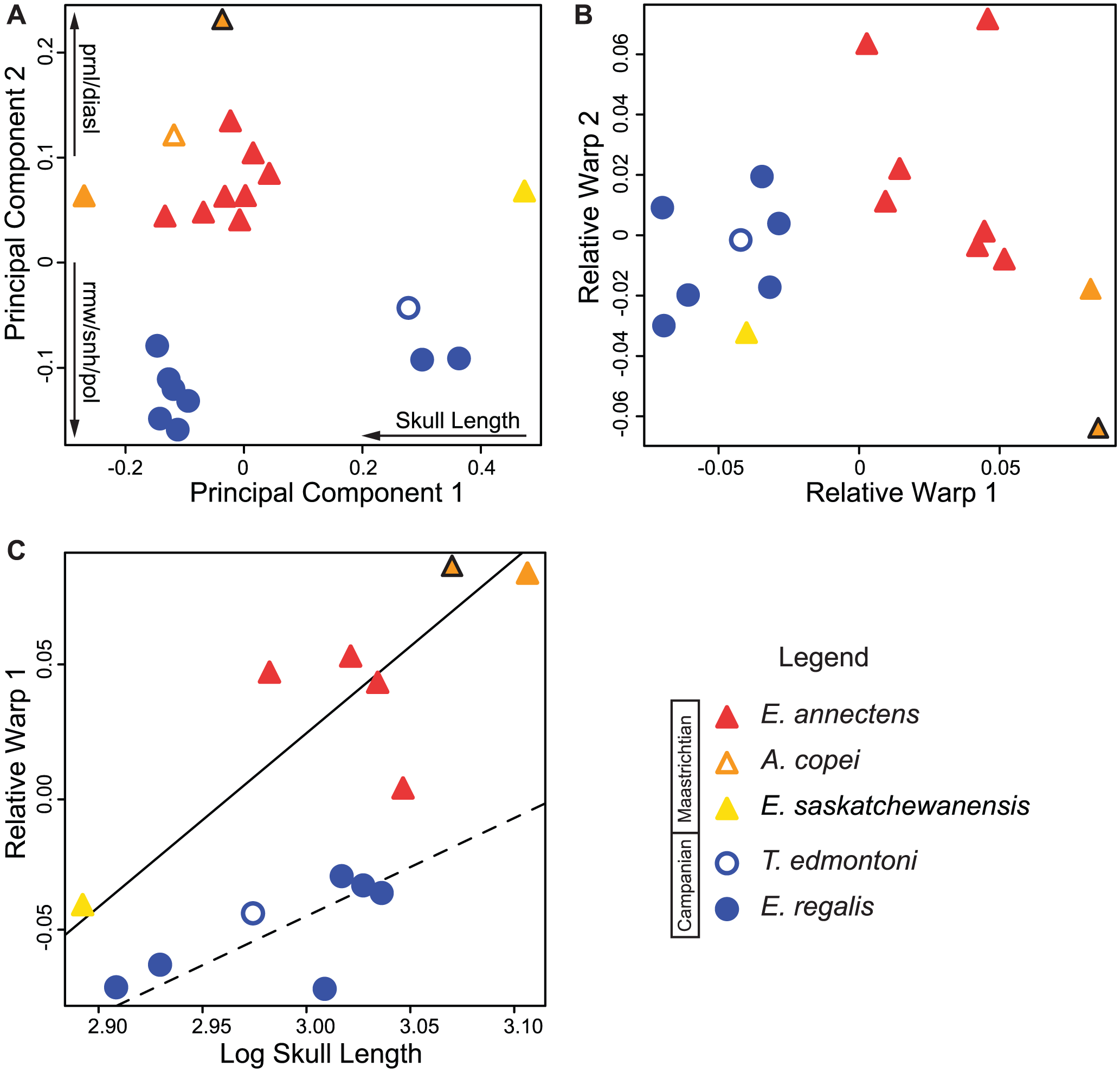 Figure 4. Multivariate and geometric morphometric results.