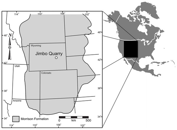 Figure 1: Geographic relationship of the Jimbo Quarry and the majority of the Morrison Formation, Late Jurassic, USA. Formation outcrop and map data based on paleobiodb.org. Download full-size image DOI: 10.7717/peerj.7247/fig-1