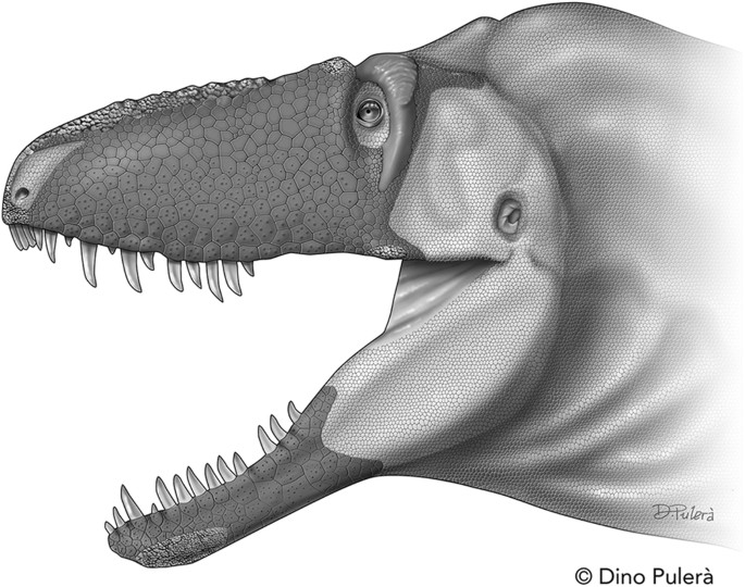 Figure 4: The craniofacial epidermis of Daspletosaurus horneri sp. nov., based on comparison with its closest living relatives, crocodylians and birds.