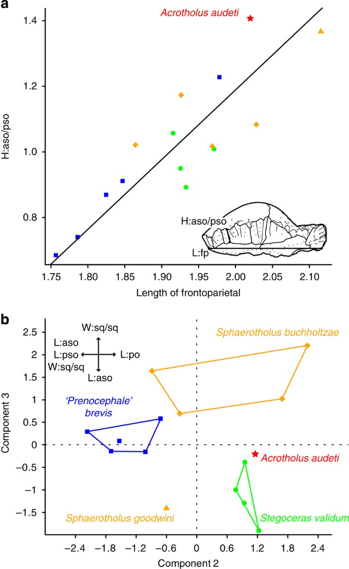 Figure 4: Selected results of morphometric analyses of pachycephalosaur frontoparietal domes.
