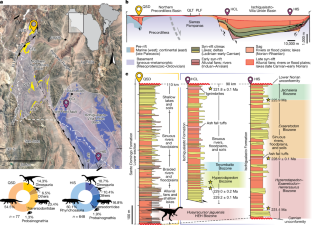 Fig. 4: Stratigraphic and biostratigraphic correlation.