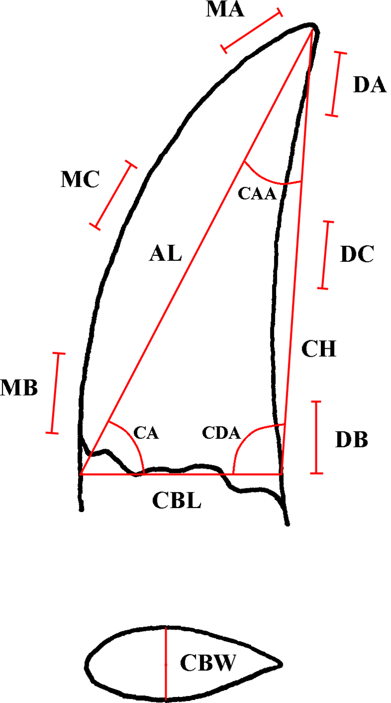Fig 2. Variables for the DFA.