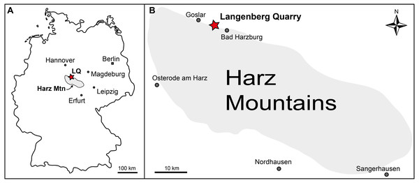 Figure 1: Geographic location of the Langenberg Quarry in the Harz Mountains of Germany. (A) Map of Germany with the Harz Mountains highlighted in grey and Langenberg Quarry (LQ) indicated by star. (B) Close-up of the Harz Mountain area with Langenberg Quarry and nearby towns indicated. Download full-size image DOI: 10.7717/peerj.8437/fig-1