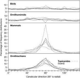 Figure 3: Percentage frequency distributions of canalicular directions in samples of birds, ornithomimids, mammals and ornithischians.