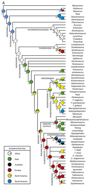 Figure 3: Parsimony-based reconstructions of ancestral geographic areas. Tree topology based on Fig. 2 . The pie charts at each node represent the level of support for each ancestral (see Table S5 for precise values). Each color represents a different geographic area (see key). Numbers next to nodes refer to those used in Table S5 . Download full-size image DOI: 10.7717/peerj.1523/fig-3