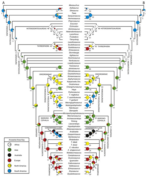 Figure 4: Likelihood-based reconstructions of ancestral geographic areas. Results obtained when all branch lengths were equal (A) versus results obtained when time calibrated branch lengths were included and set equal to inferred missing fossil records (B). Tree topology based on Fig. 2 . The pie charts at each node represent the level of support for each ancestral area (See Table S5 for values). Each color represents a different geographic area (see key). Numbers next to nodes refer to Table S5