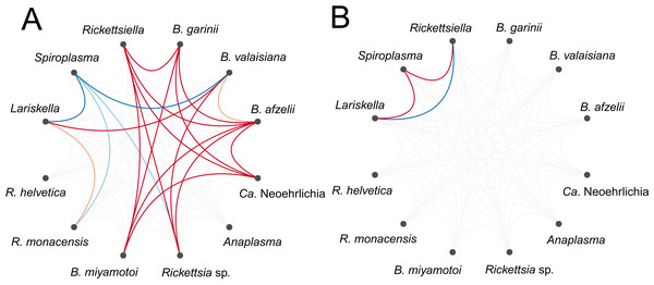 Figure 3: Residual association patterns among endosymbionts and human pathogens within ticks on (A) individual tick-level and (B) on site-level after accounting for shared environmental preference. Red lines represent positive associations and blue lines negative associations. Only associations with strong statistical support (i.e., based on the 90% central credible interval) are presented. Darker colors indicate stronger associations. Download full-size image DOI: 10.7717/peerj.8217/fig-3