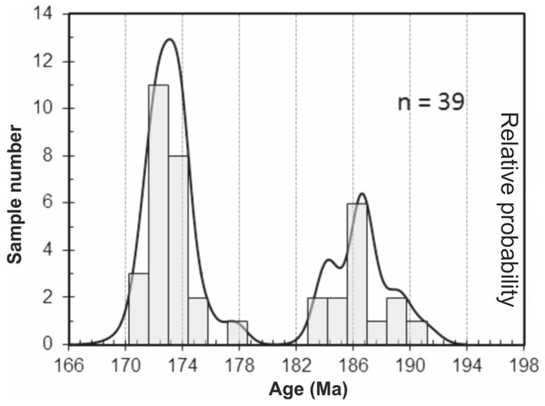 Figure 3: Probability curve based on the LA-ICP-MS data performed on zircons and monazites. Two age populations (i.e., peaks) can be discriminated from this curve. Download full-size image DOI: 10.7717/peerj.6239/fig-3