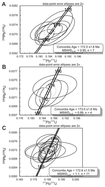 Figure 4: Concordia diagrams for the three samples collected at Kulinda. (A) Zircons and monazites collected from the granite. (B) Zircons collected from a sample situated above bone bed 3 in trench 3. (C) Zircons collected from a sample situated below bone bed 4 in trench 4. Download full-size image DOI: 10.7717/peerj.6239/fig-4