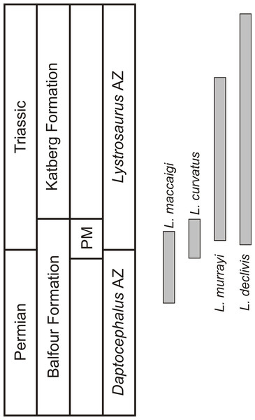 Figure 1: Biostratigraphic ranges of the four South African Lystrosaurus species in the Karoo Basin. Abbreviations: AZ, Assemblage Zone; PM, Palingkloof Member. Download full-size image DOI: 10.7717/peerj.10408/fig-1