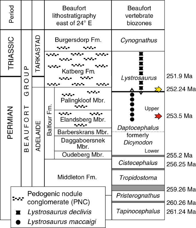 Fig. 1: Generalized stratigraphy of the Permian–Triassic Beaufort Group, Karoo Basin, South Africa, with vertebrate biozones.
