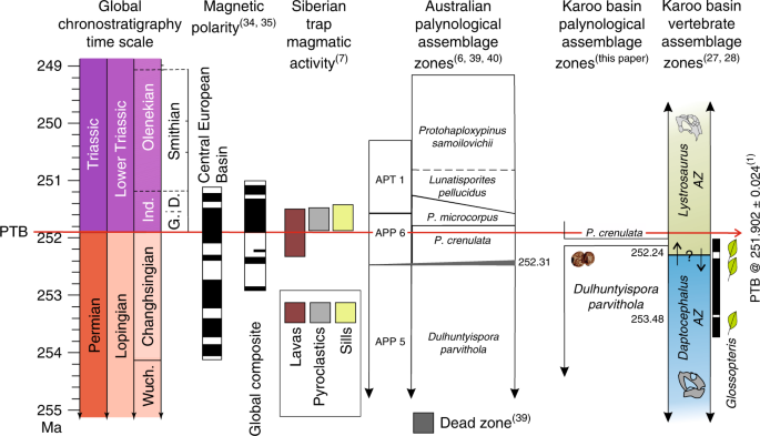 Fig. 4: Diagram synthesis of late Permian and early Triassic global chronostratigraphic time scale in Ma; magnetostratigraphy and polarity intervals 34 , 35 (black = normal, white = reverse); duration of Siberian Trap magmatic lava, pyroclastic, and sill emplacement activity 7 ; Australian palynological assemblage zones 39 , 40 and geochronometric age placed on vegetation collapse in the Sydney Basin; 6 compared with the results of the present study.