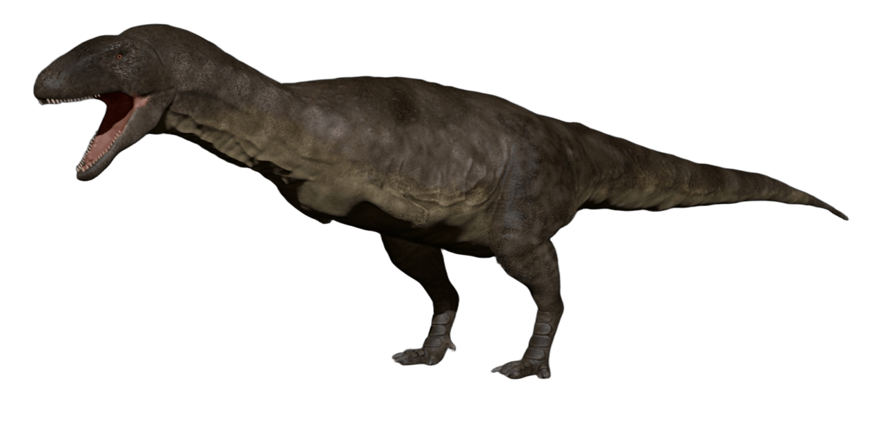 Majungasaurus crenatissimus