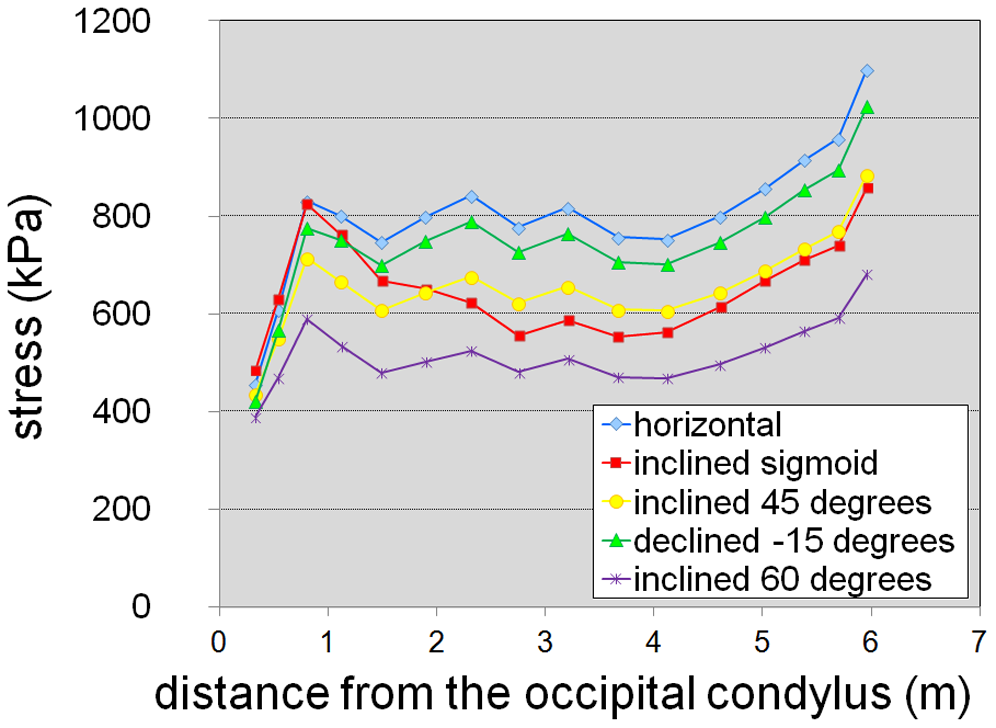 Figure 3. Stress in the intervertebral cartilage along the neck for different hypothetical neck postures (four straight postures and a sigmoid posture [ [24] , Plate II]).