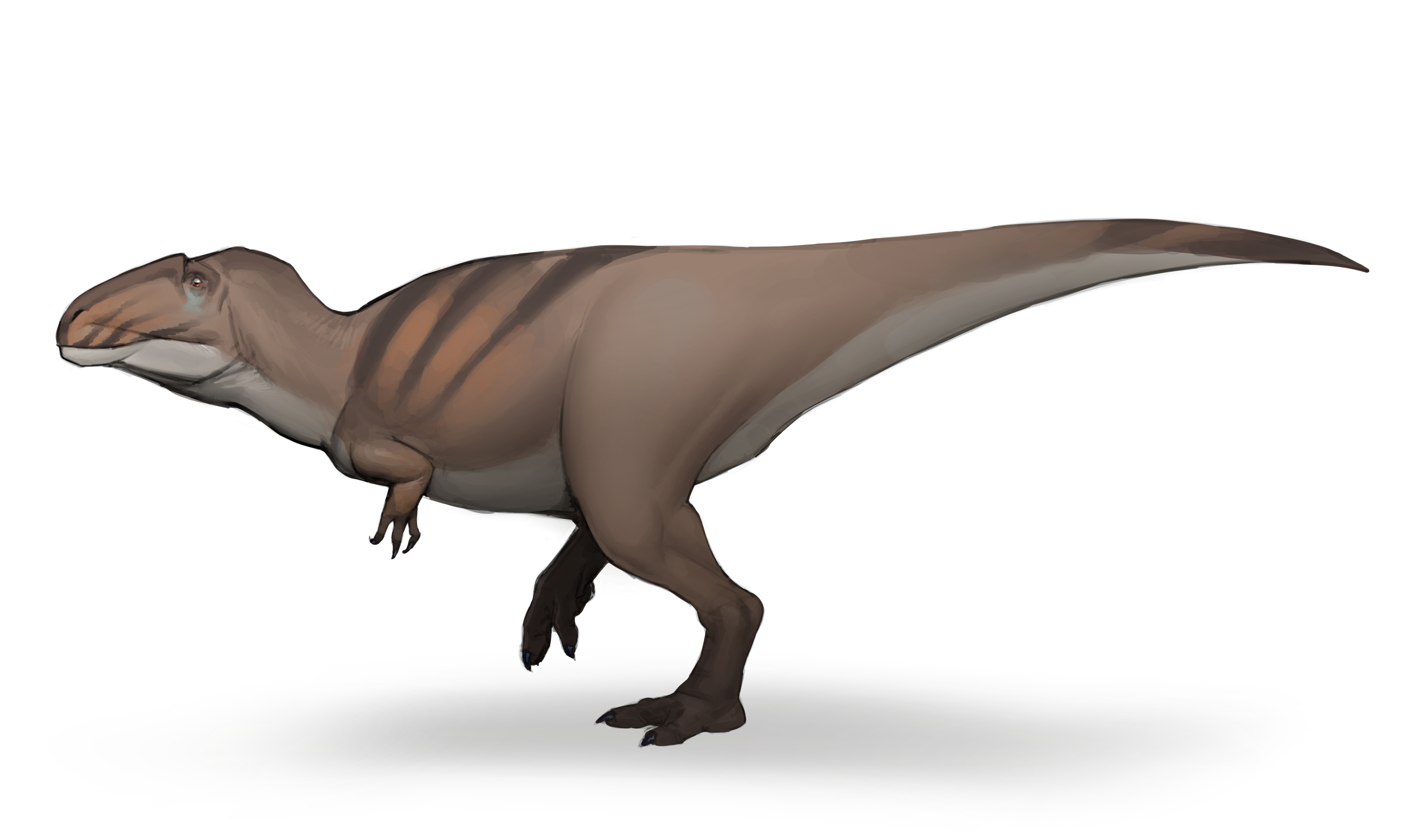 Mapusaurus roseae
