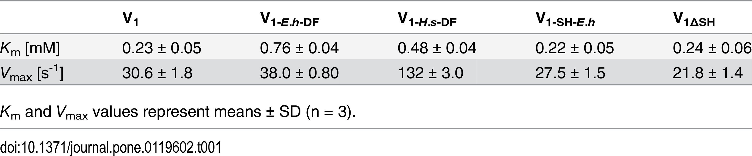 Table 1. Kinetics parameters of the mutated V 1 for ATPase activity.