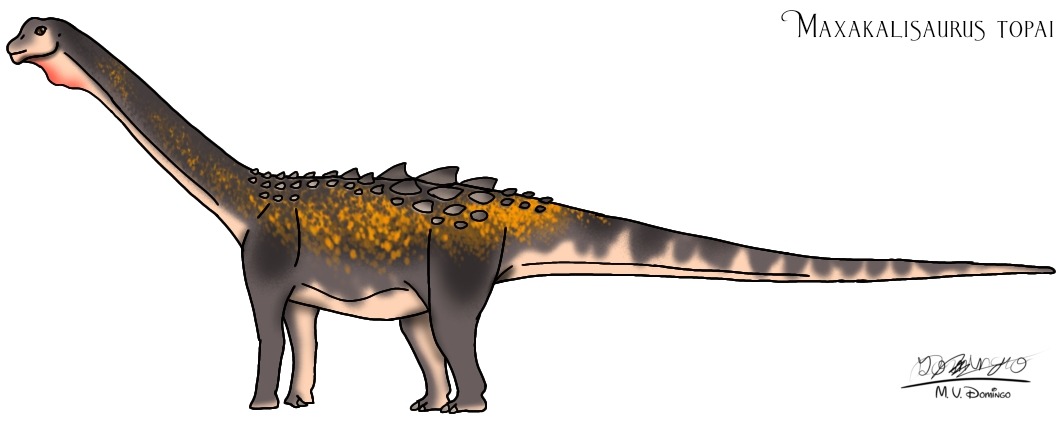Reconstituição lateral de Maxakalisaurus topai por M.V. Domingo, mostrando a coloração e estrutura corporal.