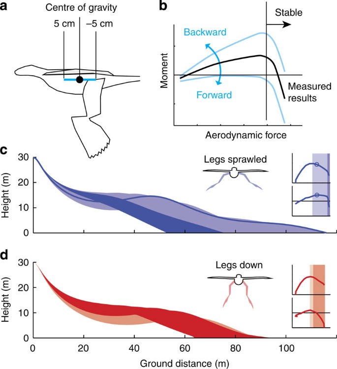 Figure 3: Trajectory envelopes.