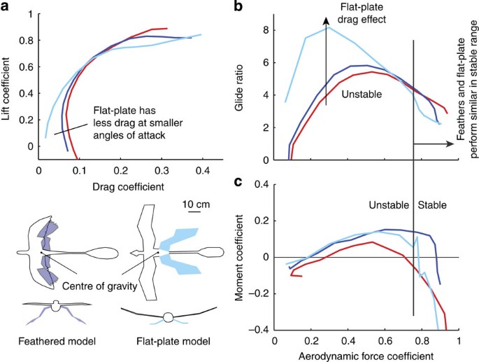 Figure 4: Velocity-averaged aerodynamic performance in feathered and flat-plate Microraptor models.