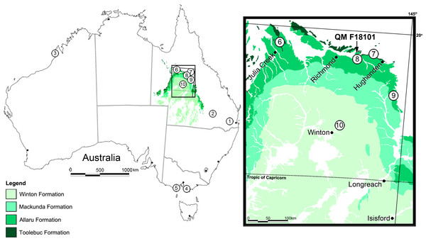 Figure 1: Locality map for Australian eurypodan thyreophoran fossils. 1, Stegosaurian? footprint (QM F5701), Walloon Coal Measures, Balgowan Colliery, Balgowan (Bajocian–Bathonian); 2, Minmi paravertebra holotype (QM F10329) ( Molnar, 1980 ), Minmi Member, Bungil Formation (Valanginian–Barremian); 3, Thyreophoran trackways, Broome Sandstone, Dampier Peninsula, Western Australia (Valanginian–Barremian); 4, Ankylosauria indet. (see Barrett et al., 2010 ) ‘Flat Rocks’ Wonthaggi Formation (upper Hau