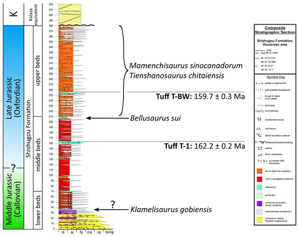 Figure 2: Stratigraphic position of sauropods from the Middle-Late Jurassic Shishugou Formation of Xinjiang, China. Composite section based on local sections at Jiangjunmiao, Konglonggou, and Wucaiwan. Radiometric dates are from Wucaiwan only. Copyright by David Eberth, modified with permission. Download full-size image DOI: 10.7717/peerj.4881/fig-2