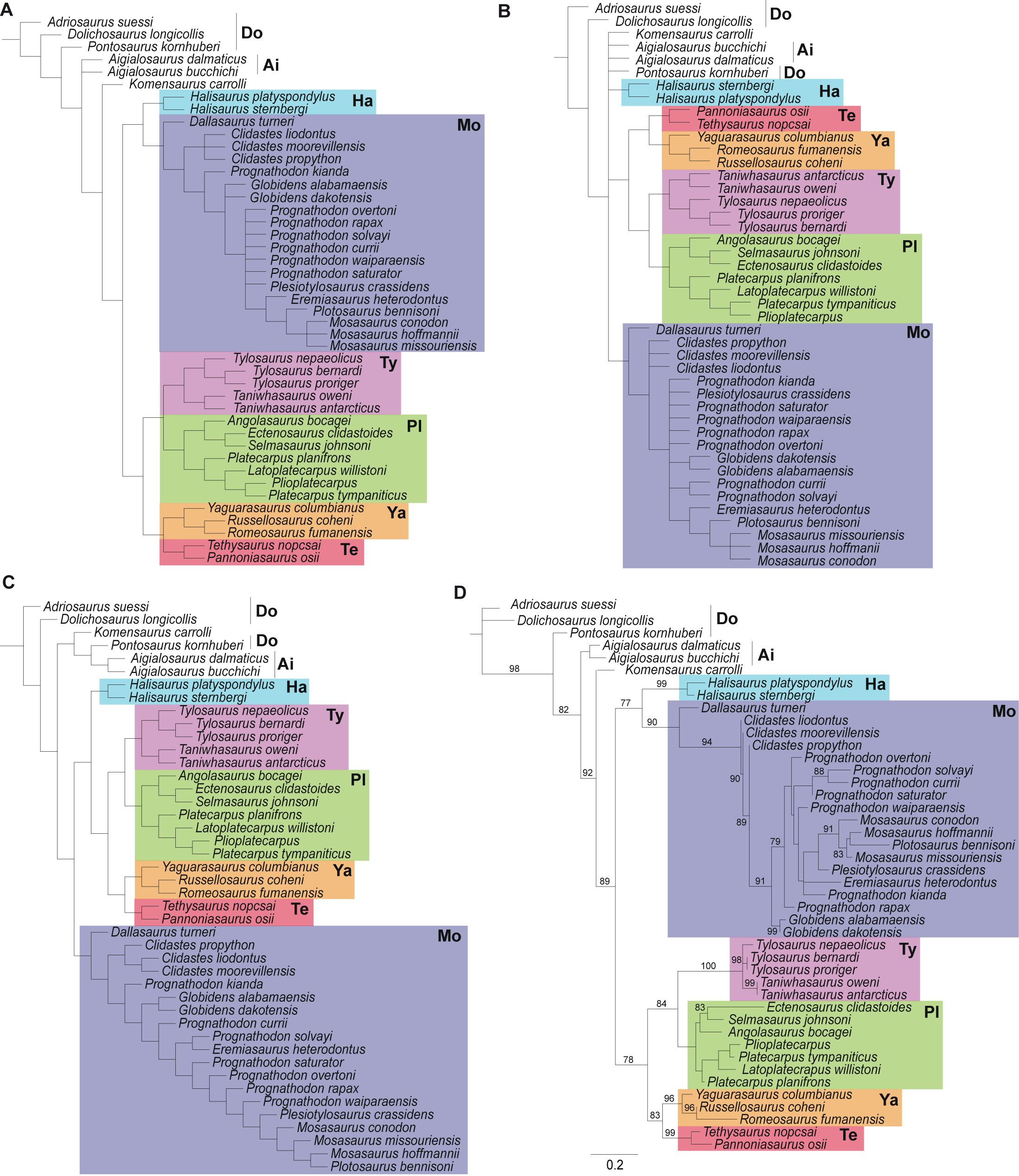 Fig 1. Phylogenetic analysis of mosasauroid relationships using different methods.